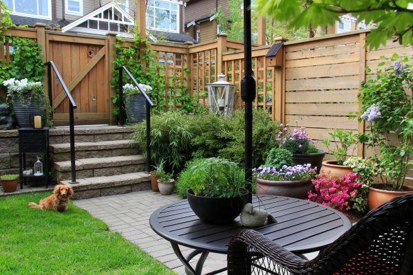 Cozy Yard Landscaping