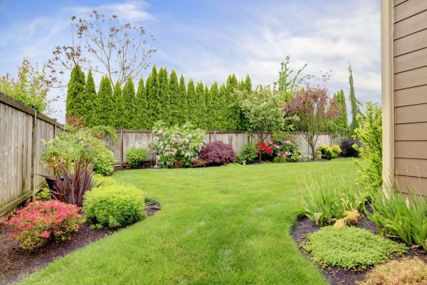 Petite Yard Landscaping