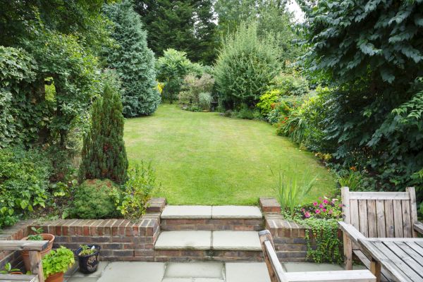 Compact Yard Landscaping