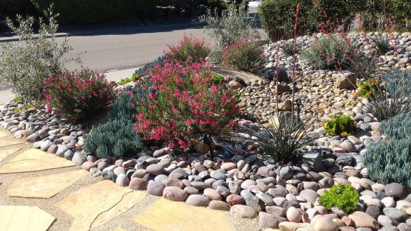 Xeriscape Landscaping