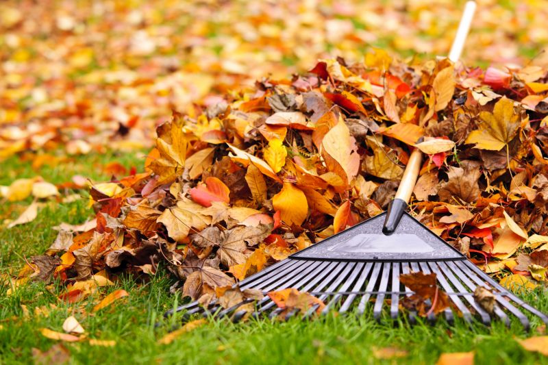 Leaf Raking and Collection