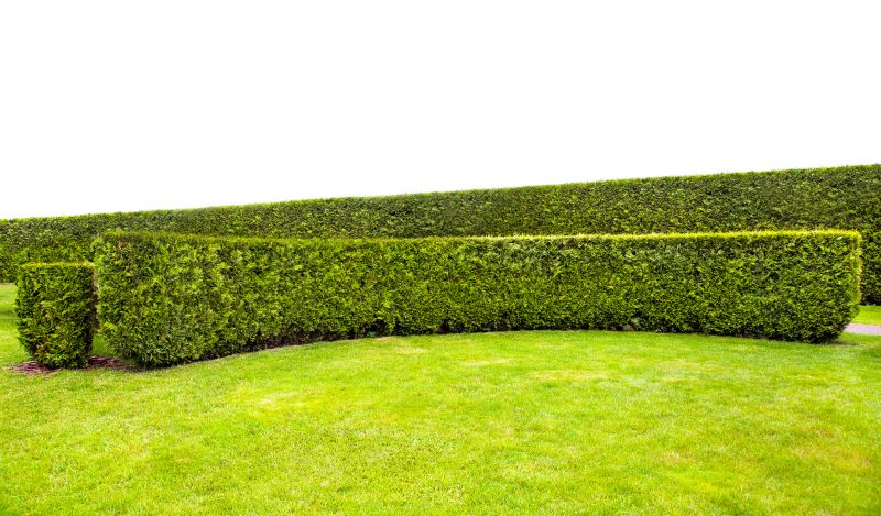 Hedge Installation