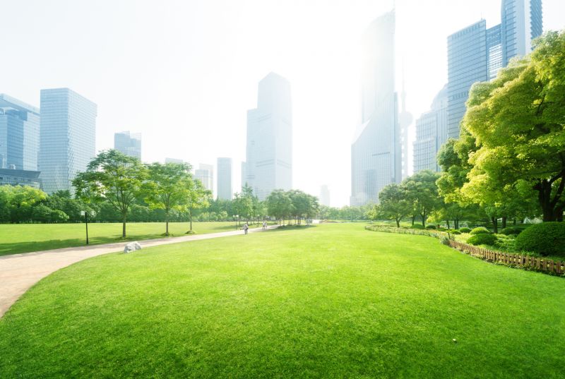 Industrial Landscaping Service in Ventura County, CA