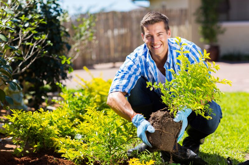 Perennials Planting in Honolulu, HI