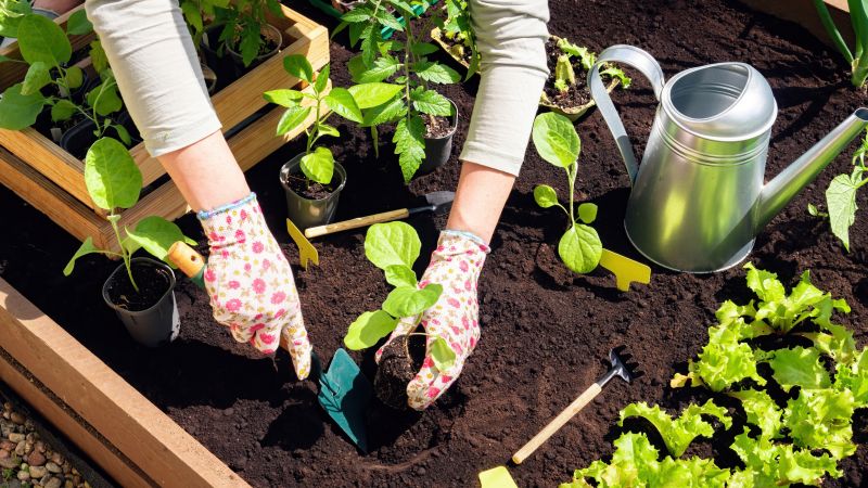 Small Garden Landscaping in Honolulu, HI