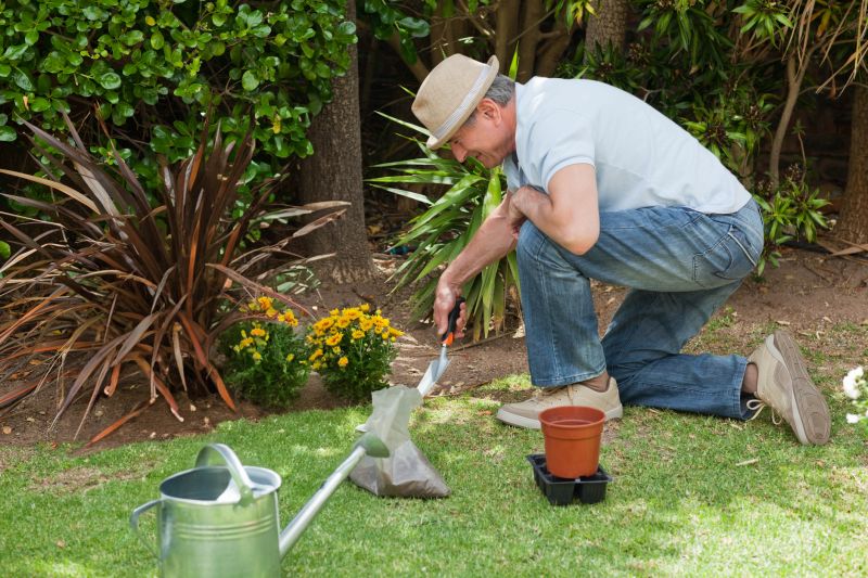 Creative Use of Vertical Space